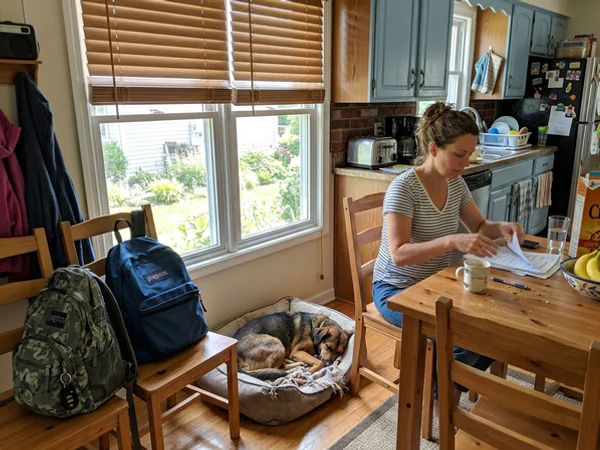 Cordless faux wood blinds in a Fallingbrook family kitchen