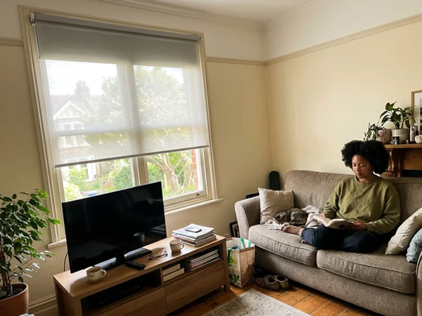 Dual roller blinds with the sheer shade down in an Orleans living room