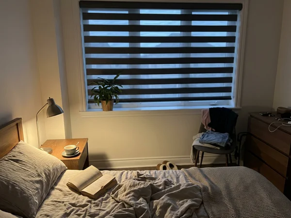 Room-darkening charcoal zebra blind closed in an Orleans bedroom